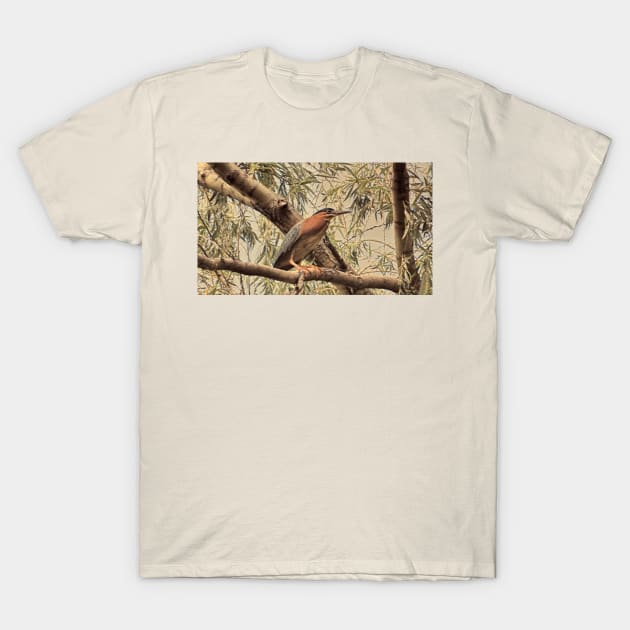 Green Heron in Willow Tree T-Shirt by MaryLinH